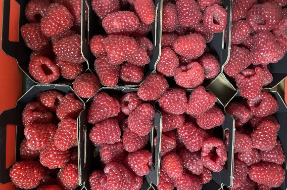 Achat vente et livraison de fruits rouges origine Haute-Loire sur Saint-Etienne