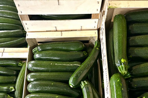 Vente et livraison de courgettes dans la Loire