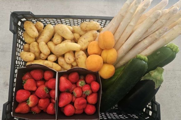 Vente et livraison de fruits et légumes de qualité pour les professionnels de la restauration dans la Loire