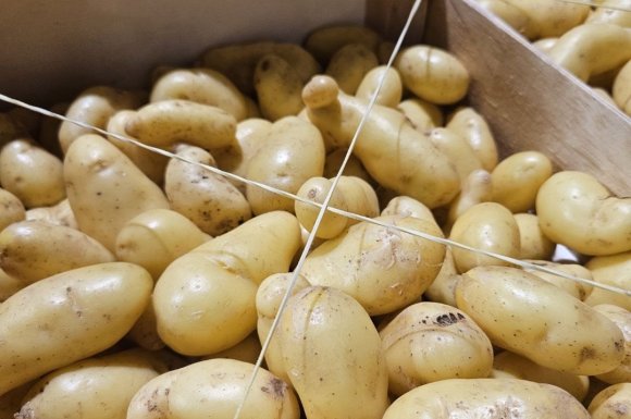 Pomme de terre Delikatess livrée aux professionnels de la restauration