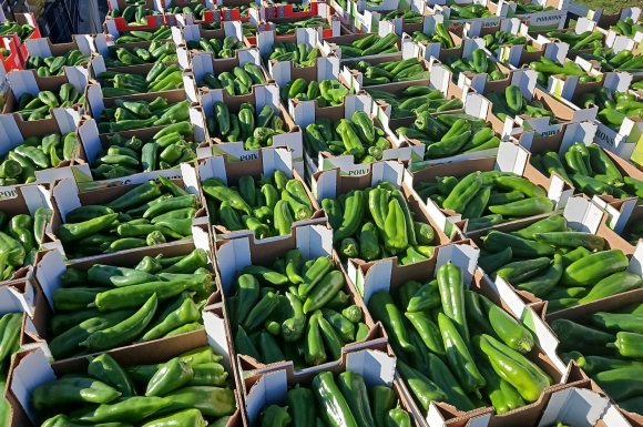 Vente et livraison de fruits et légume en volume sur Saint-Etienne