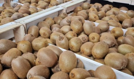 vente achat livraison fruits et légumes sur Saint-Etienne