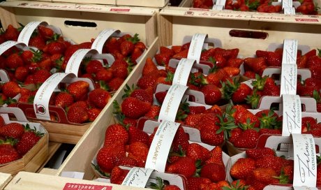 Vente et livraison de fraise sur Saint-Etienne