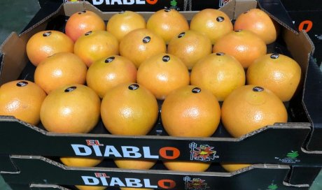 vente achat livraison agrumes dans la Loire