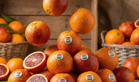 Livraison et vente d'oranges Tarocco origine Italie dans la Loire