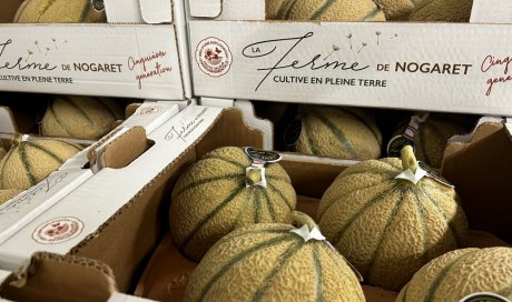 Vente et livraison de melon dans la Loire