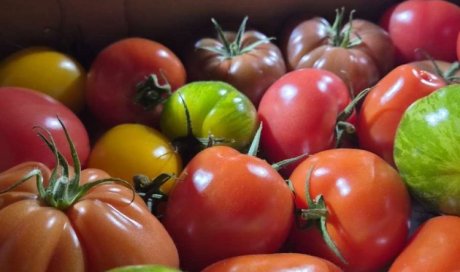 Vente et livraison de produits de printemps à Saint-Étienne : fraises, tomates, asperges et petits pois