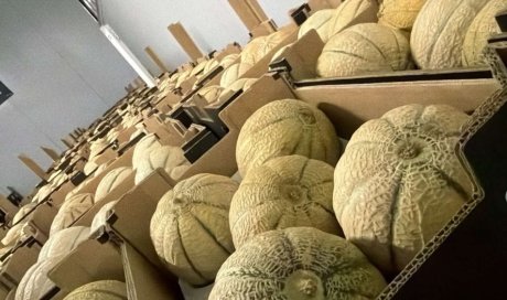 Vente et livraison de prunes et melons à Saint-Étienne : les fruits de saison du mois d'aoû