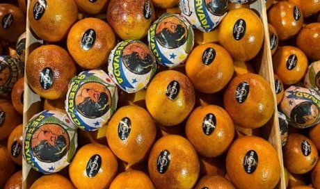 Vente et livraison d'oranges sanguines dans le secteur de Saint-Etienne