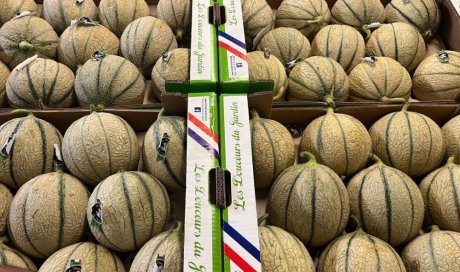 Vente et livraison de melon sur Saint-Etienne