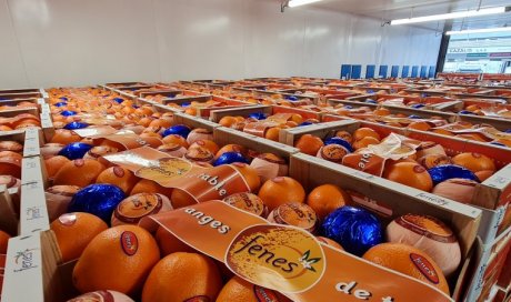 ORANGE NAVELINE LIVRAISON FRUITS ET LEGUMES POUR PROFESSIONNEL SUR SAINT CHAMOND