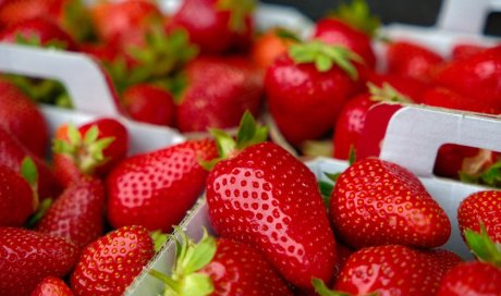 Vente et livraison de fruits de saison dans la Loire