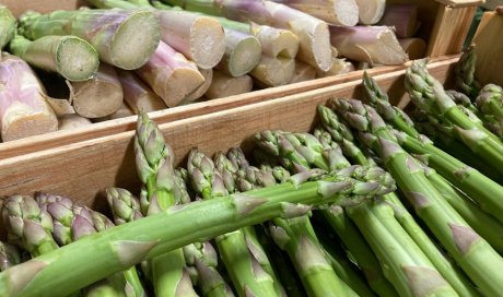 Vente et livraison d'asperge secteur Saint-Etienne