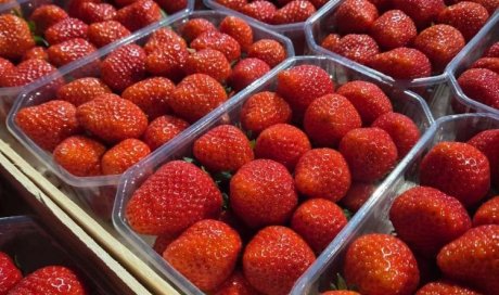 Vente et livraison de fruits et légumes frais de printemps dans la Loire
