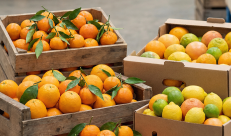 Vente et livraison d'agrumes d'origine Italie et Portugal sur Saint-Étienne