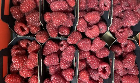 Achat vente et livraison de fruits rouges origine Haute-Loire sur Saint-Etienne