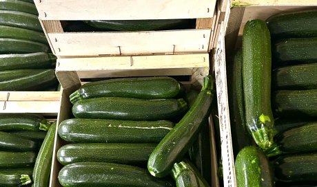 Vente et livraison de courgettes dans la Loire