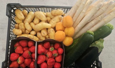 Vente et livraison de fruits et légumes de qualité pour les professionnels de la restauration dans la Loire