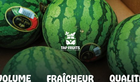 Vidéo exclusive : une journée en immersion à TAP FRUITS