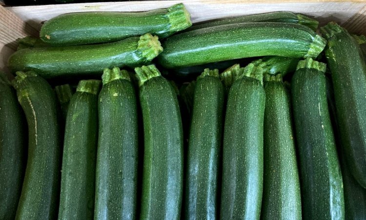 Vente achat livraison courgettes origine Provence secteur Saint-Etienne