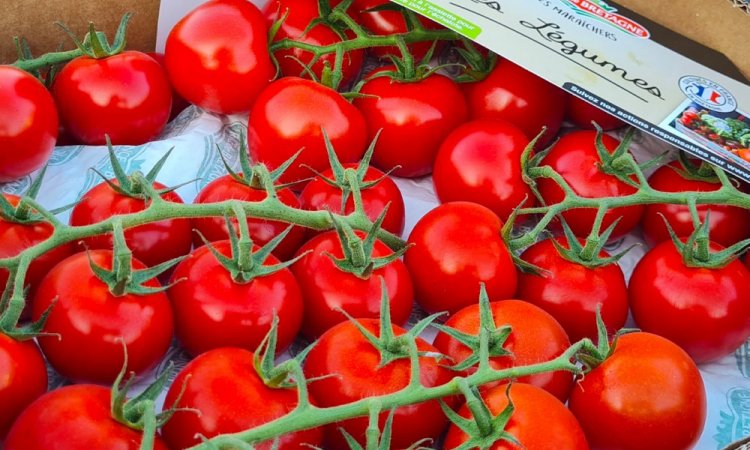 Vente et livraison de tomates France segmentation de Bretagne sur Saint-Etienne