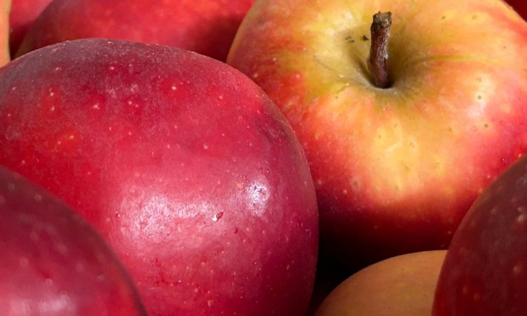 Vente et livraison de pommes rouges Royal Gala sur Saint-Etienne