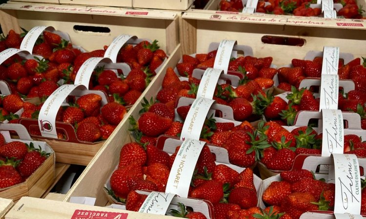 Vente et livraison de fraise sur Saint-Etienne