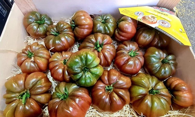 SEGMENTATION TOMATE FRANCAISE LIVRAISON FRUITS ET LEGUMES POUR PROFESSIONNEL SUR MONTBRISON