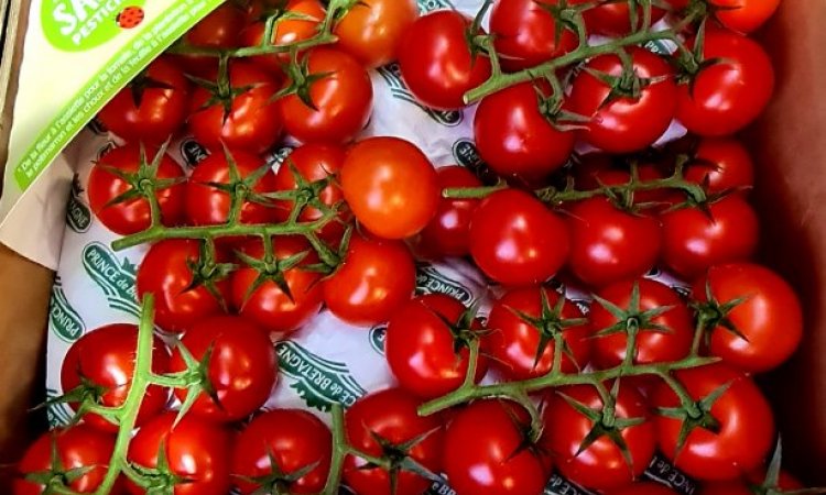 SEGMENTATION TOMATE FRANCAISE LIVRAISON FRUITS ET LEGUMES POUR PROFESSIONNEL SUR MONTBRISON