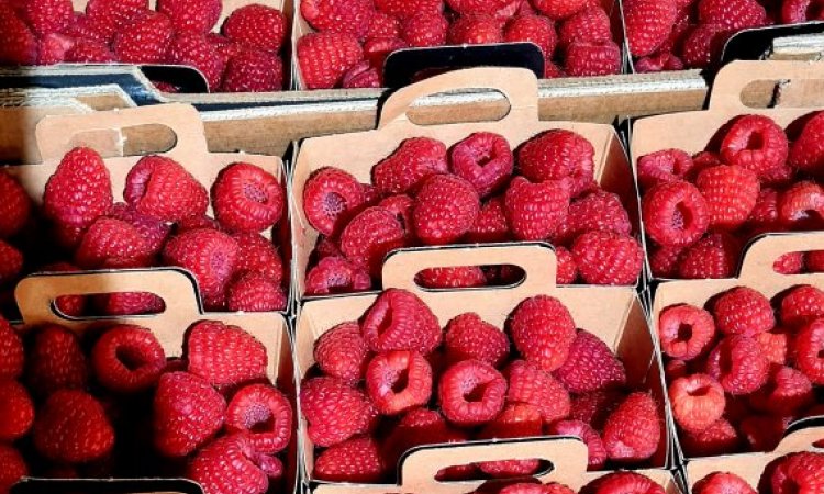 VENTE ACHAT LIVRAISON FRUITS ET LEGUMES SUR SAINT ETIENNE