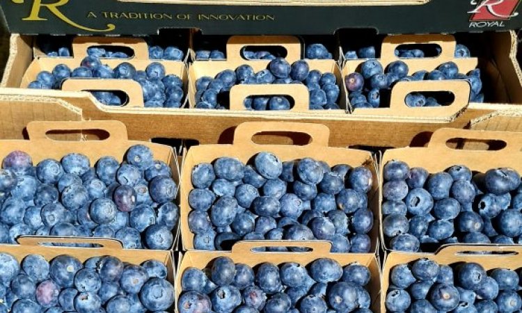 VENTE ACHAT LIVRAISON FRUITS ET LEGUMES SUR SAINT ETIENNE