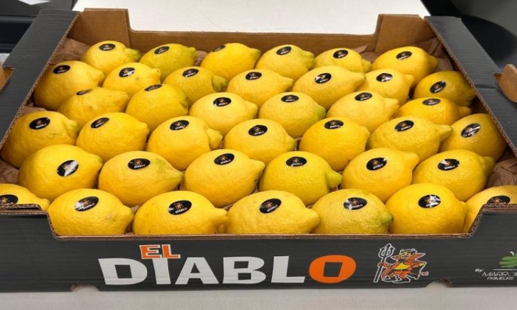 vente achat livraison agrumes dans la Loire