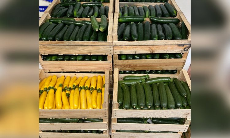 Vente achat livraison courgettes origine Provence secteur Saint-Etienne