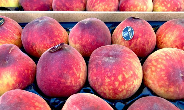 Vente et livraison de pêches et nectarines dans la Loire