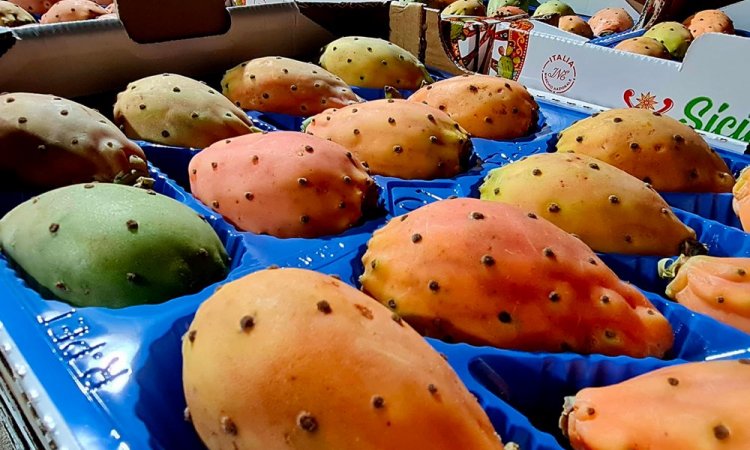 Vente et livraison fruits et légumes de saison dans la Loire