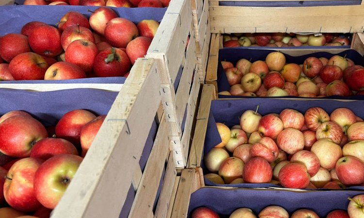 Vente et livraison de pommes rouges Royal Gala sur Saint-Etienne