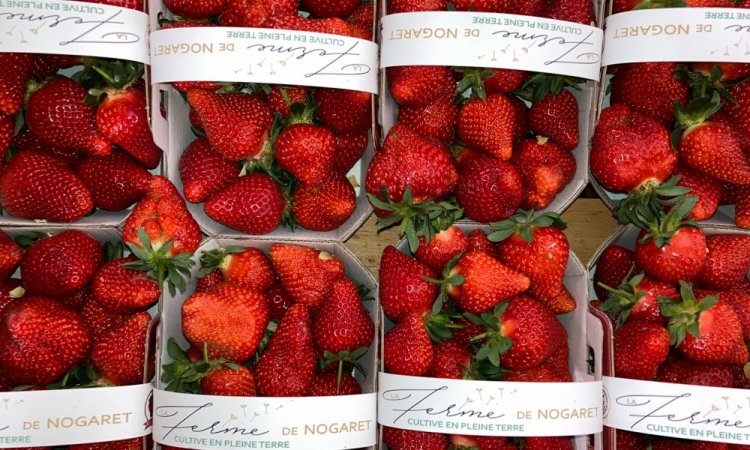 Vente et livraison de fraise sur Saint-Etienne