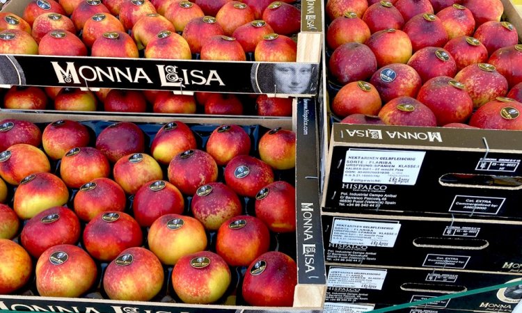 Vente et livraison de pêches et nectarines dans la Loire