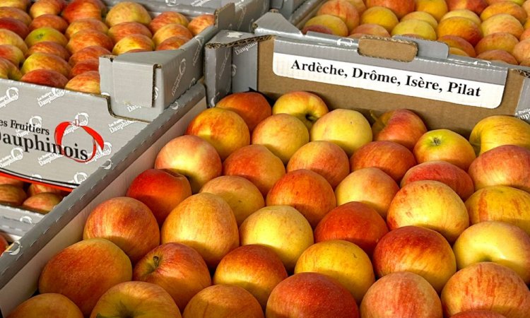 Vente et livraison de pommes rouges Royal Gala sur Saint-Etienne