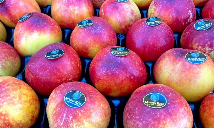 Vente et livraison de pêches et nectarines dans la Loire