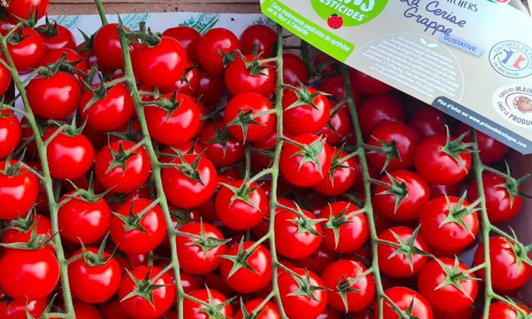 Vente et livraison de tomates France segmentation de Bretagne sur Saint-Etienne