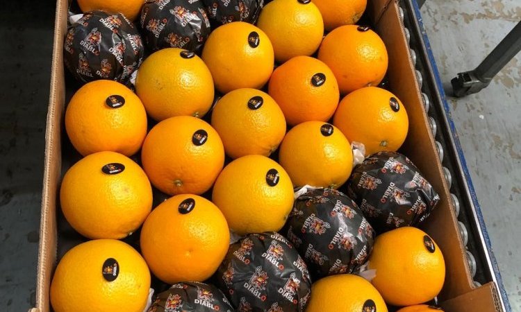 vente achat livraison agrumes dans la Loire