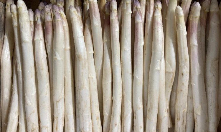 Vente et livraison asperge blanche violette dans la Loire