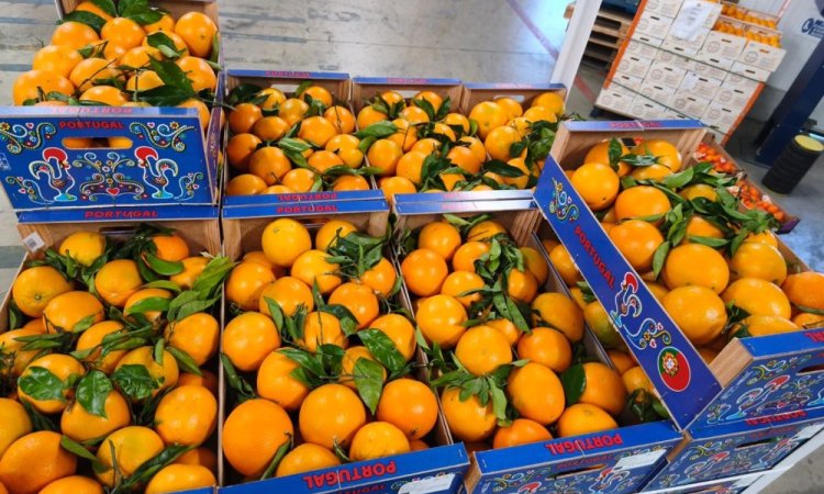 vente achat livraison agrumes dans la Loire