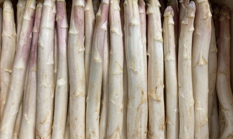 Vente et livraison asperge blanche violette dans la Loire