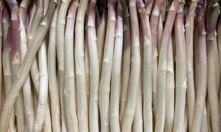 Vente et livraison asperge blanche violette dans la Loire