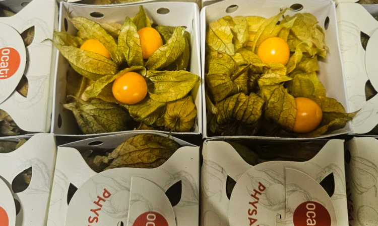 Vente et livraison de fruits exotiques autour de Saint-Etienne
