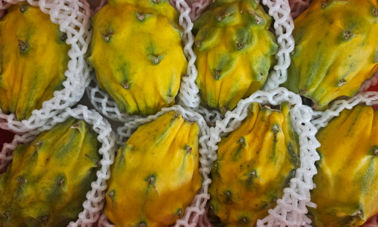 Vente et livraison de fruits exotiques autour de Saint-Etienne