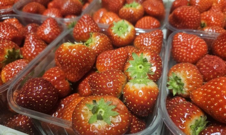 Vente et livraison fruits et légumes fin d'année 2025 dans la Loire