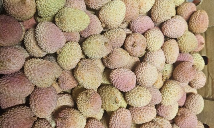 Vente et livraison fruits et légumes fin d'année 2025 dans la Loire